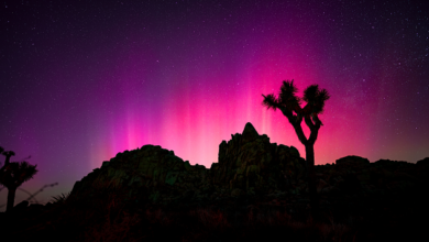 Northern Lights in California